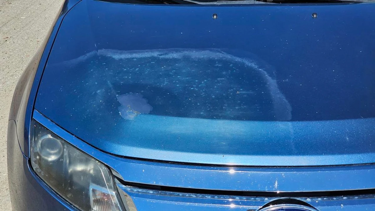 2010 Ford Fusion 1st Gen - Image 30 of 31