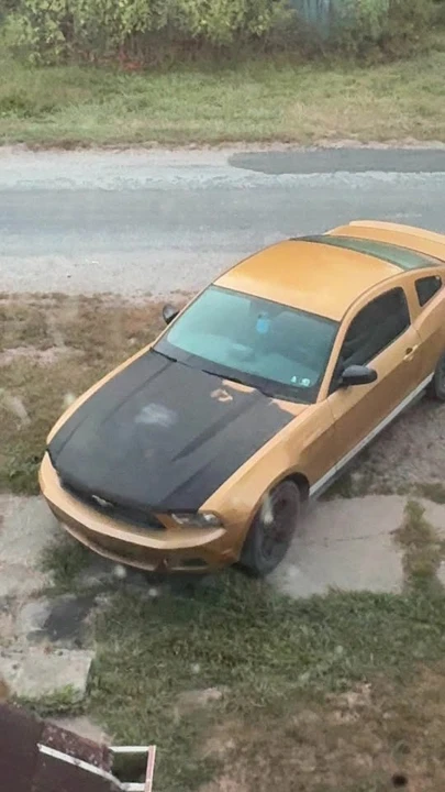 2010 Ford S197 Mustang - Image 5 of 8