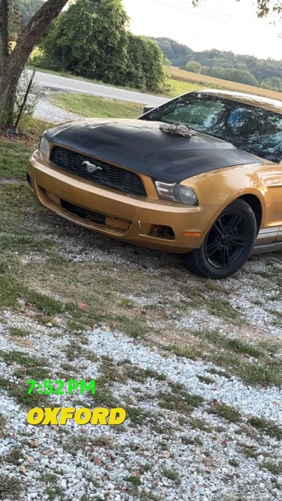 2010 Ford S197 Mustang - Image 6 of 8