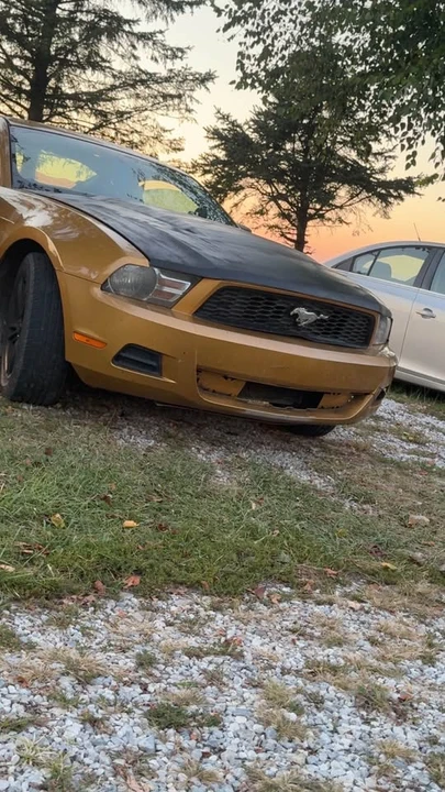 2010 Ford S197 Mustang - Image 4 of 8