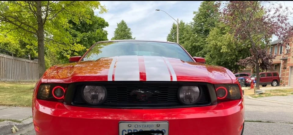 2010 Ford S197 Mustang - Image 7 of 11