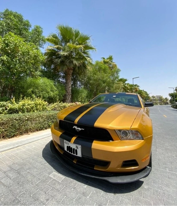 2010 Ford S197 Mustang - Image 2 of 21