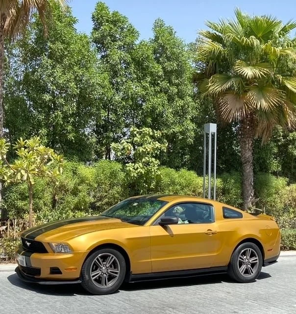 2010 Ford S197 Mustang - Image 4 of 21