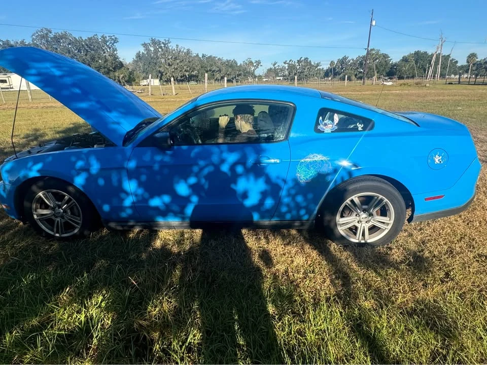 2010 Ford S197 Mustang - Image 4 of 6