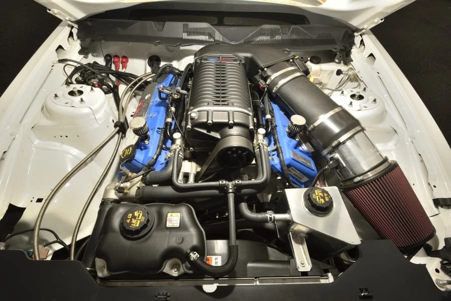 2010 Ford S197 Mustang - Image 22 of 23