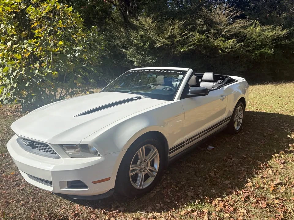 2010 Ford S197 Mustang - Image 9 of 16