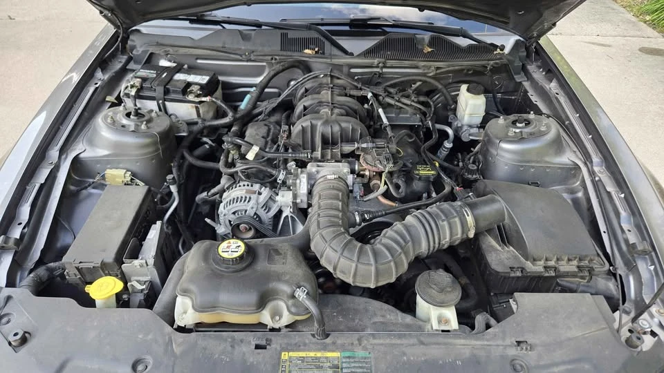 2010 Ford S197 Mustang - Image 19 of 20