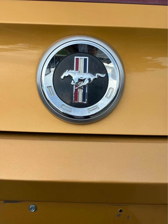 2010 Ford S197 Mustang - Image 15 of 16