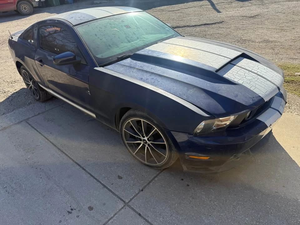 2010 Ford S197 Mustang - Image 5 of 8
