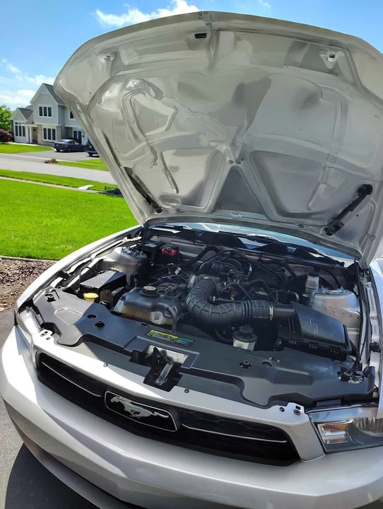 2010 Ford S197 Mustang - Image 8 of 19