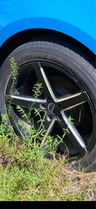 2010 Ford S197 Mustang - Image 10 of 10
