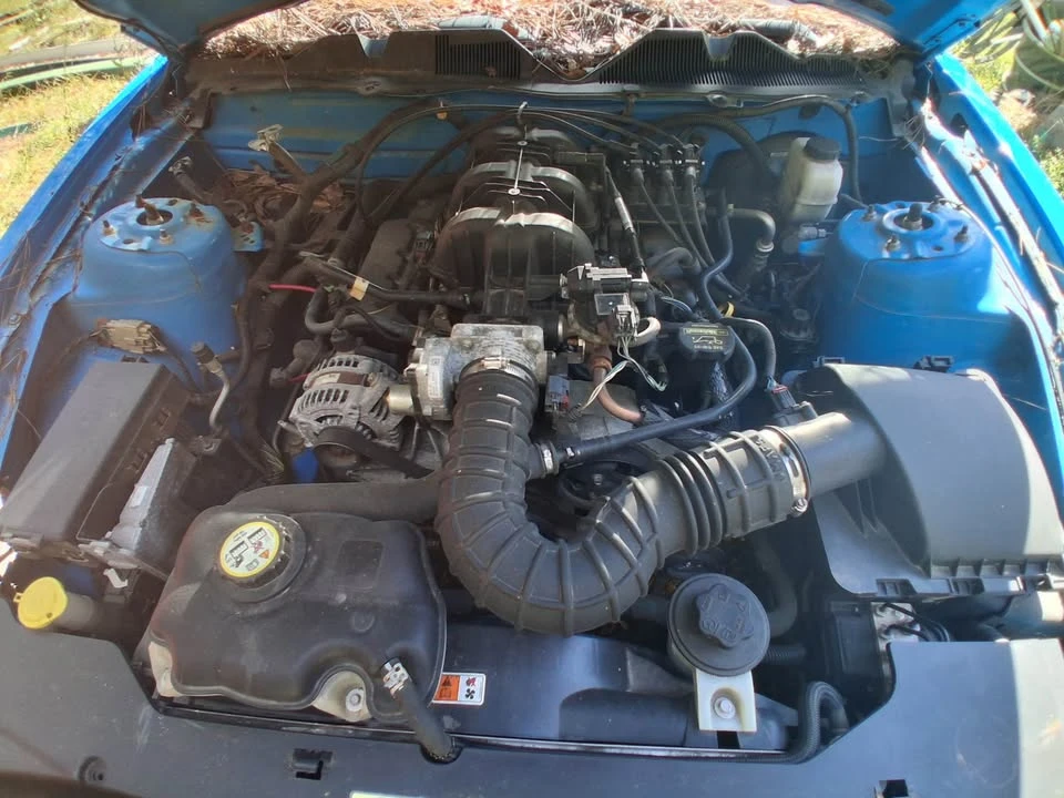 2010 Ford S197 Mustang - Image 9 of 10