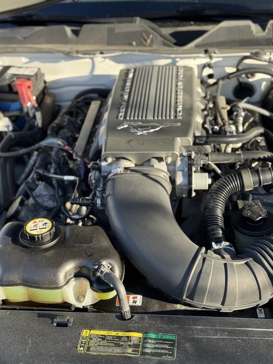2010 Ford S197 Mustang - Image 19 of 21