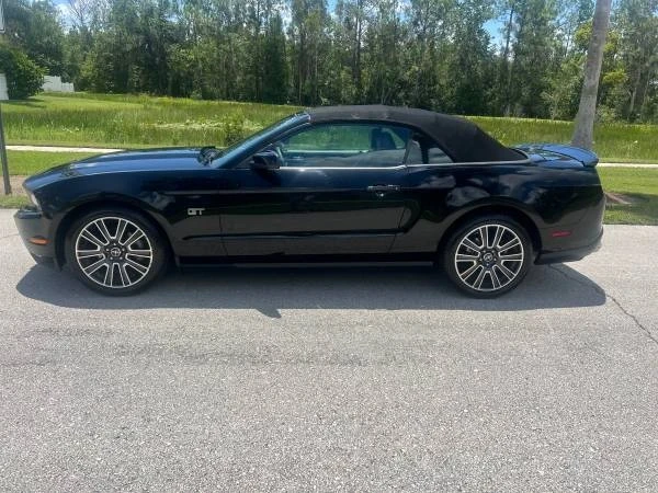 2010 Ford S197 Mustang - Image 8 of 19