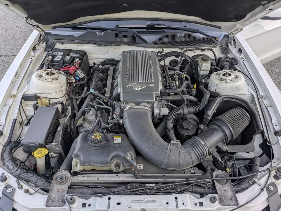 2010 Ford S197 Mustang GT - Image 8 of 8