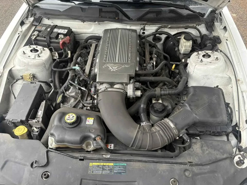 2010 Ford S197 Mustang GT - Image 8 of 8