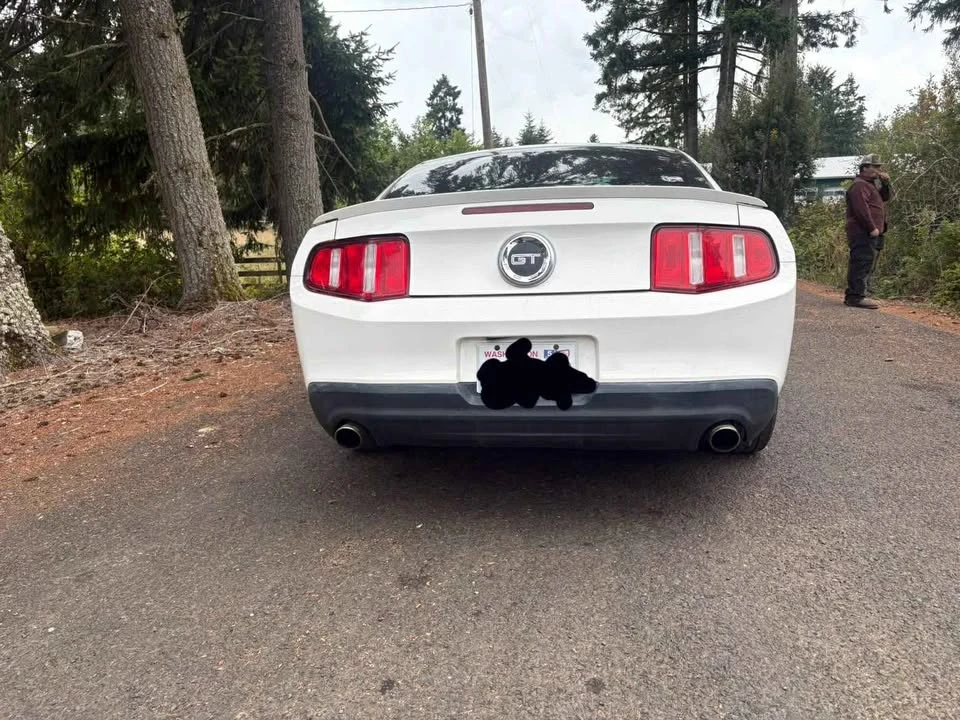 2010 Ford S197 Mustang GT - Image 5 of 8