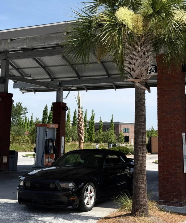 2010 Ford S197 Mustang GT - Image 15 of 18