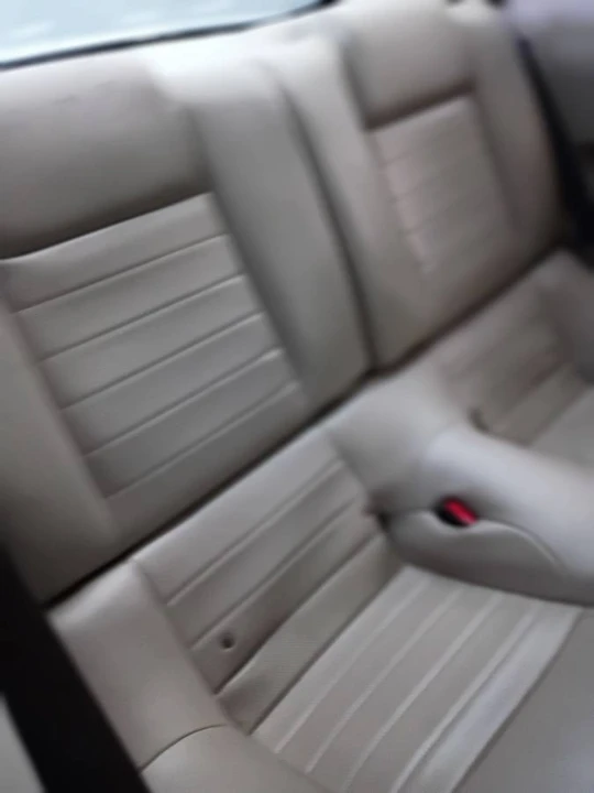 2010 Ford S197 Mustang - Image 13 of 14