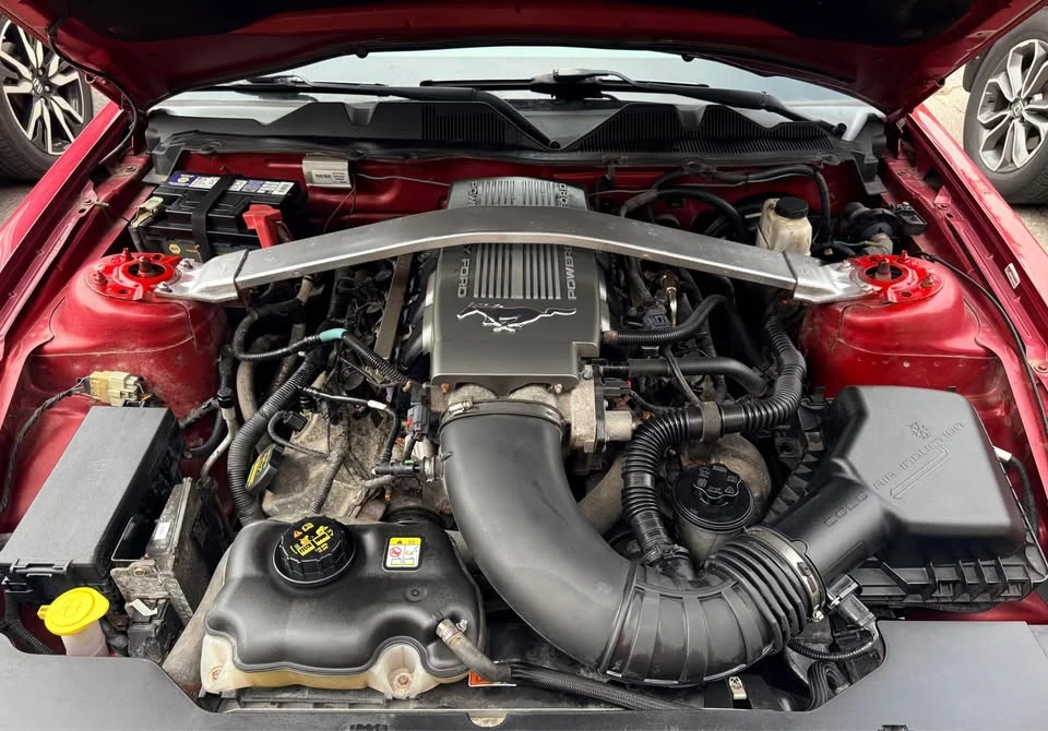 2010 Ford S197 Mustang - Image 19 of 20