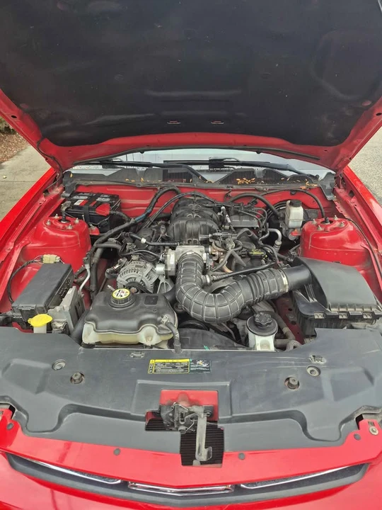 2010 Ford S197 Mustang - Image 14 of 14