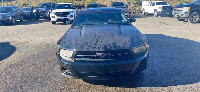 2010 Ford Mustang Premium