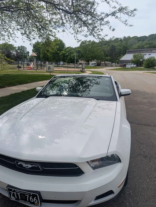 2010 Ford S197 Mustang - Image 6 of 6