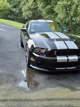 2010 Ford Mustang Shelby GT500 Coupe 2D