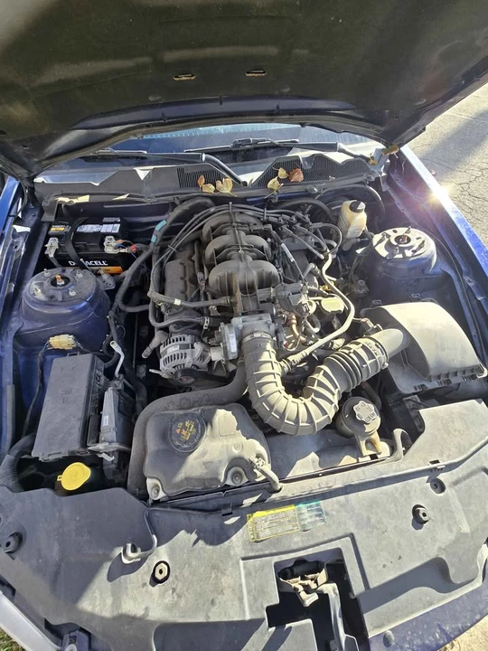 2010 Ford S197 Mustang - Image 14 of 14