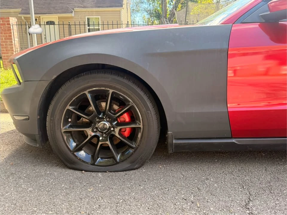 2010 Ford S197 Mustang - Image 5 of 20
