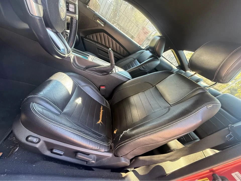 2010 Ford S197 Mustang - Image 19 of 20