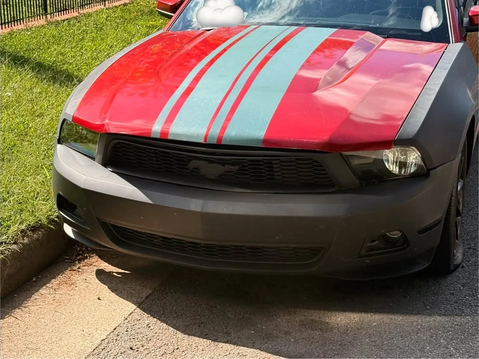 2010 Ford S197 Mustang - Image 14 of 20