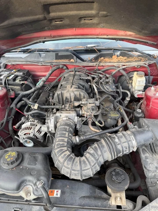 2010 Ford S197 Mustang - Image 10 of 10