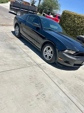 2010 Ford Mustang V6 Coupe 2D