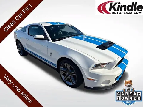 2010 Ford Shelby GT500 Base