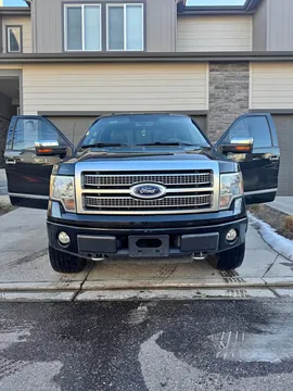 2010 Ford F-150 Platinum