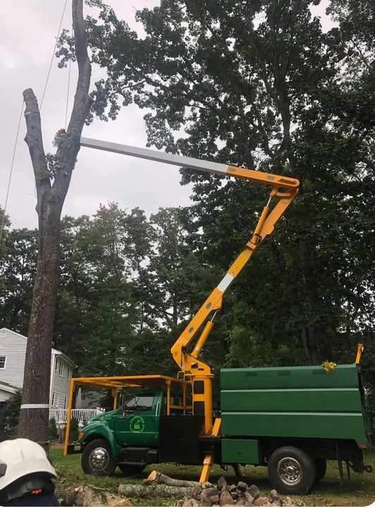 2010 Ford Super Duty 2nd Gen - Image 2 of 7