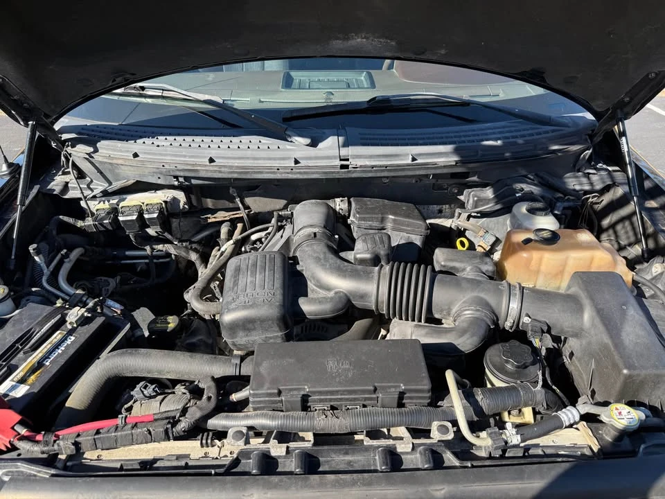 2010 Ford F-150 12th Gen - Image 19 of 20
