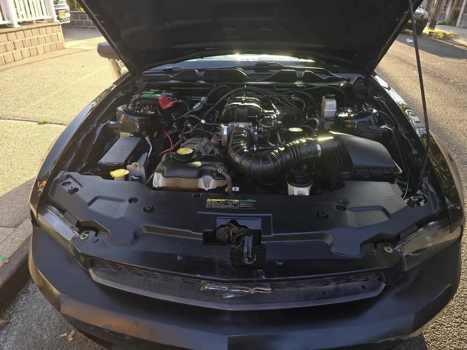2010 Ford S197 Mustang - Image 8 of 10