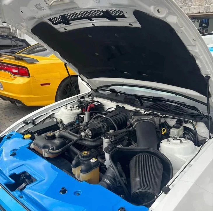 2010 Ford S197 Mustang - Image 11 of 14