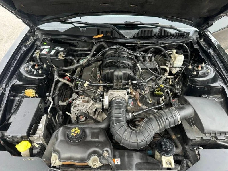 2010 Ford S197 Mustang - Image 13 of 13