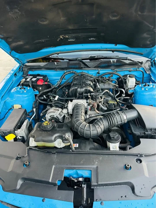 2010 Ford S197 Mustang - Image 13 of 14