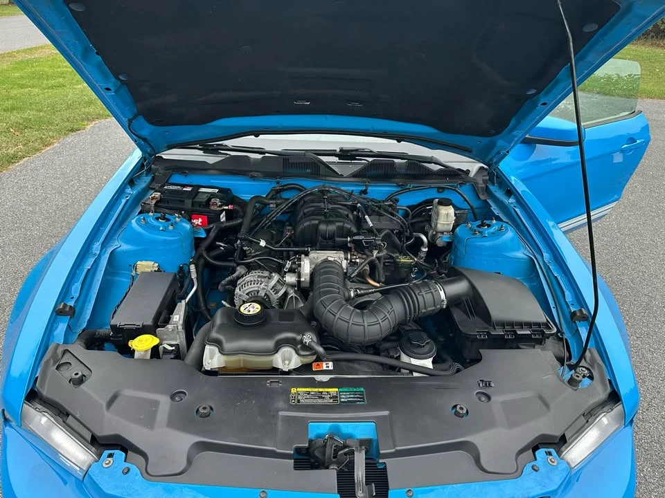2010 Ford S197 Mustang - Image 13 of 13