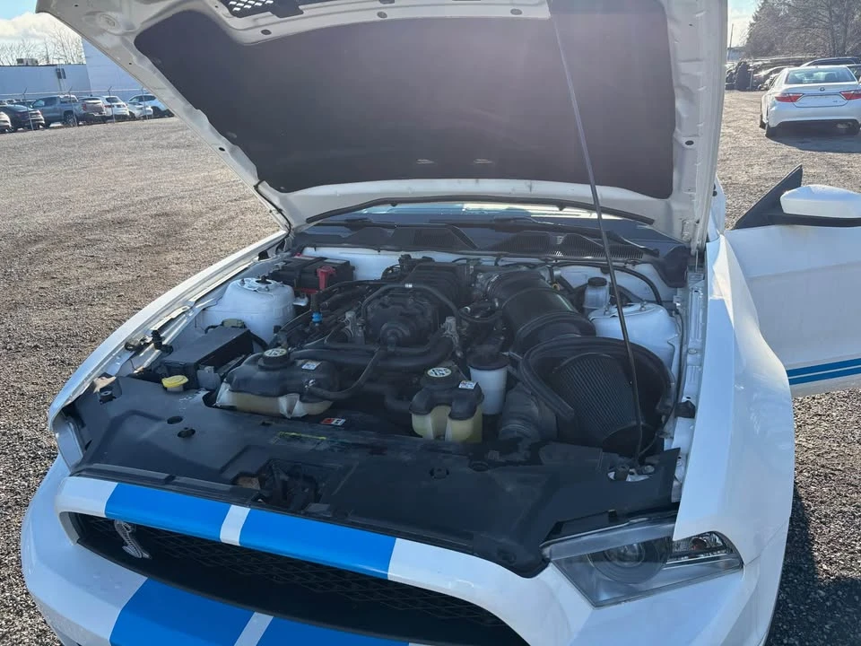 2010 Ford S197 Mustang - Image 11 of 11