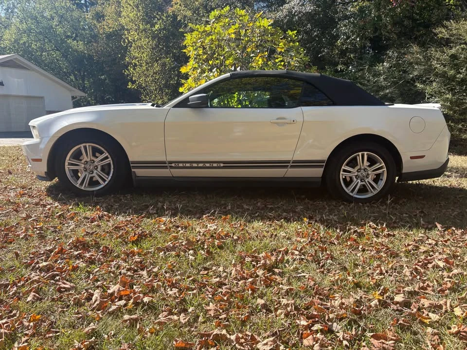 2010 Ford S197 Mustang - Image 8 of 14