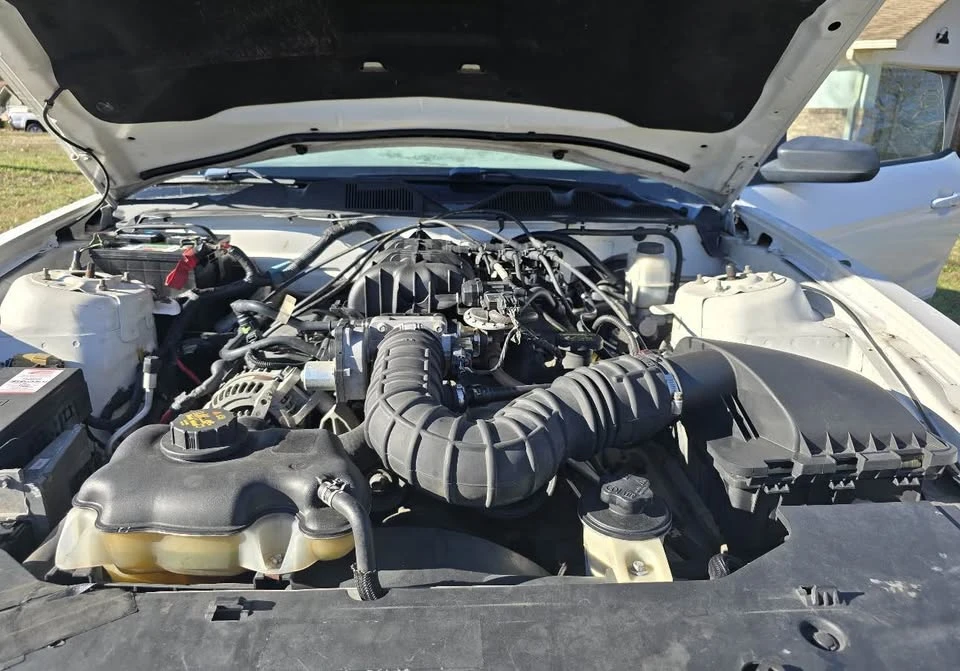 2010 Ford S197 Mustang - Image 14 of 14