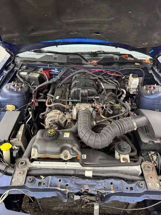 2010 Ford S197 Mustang - Image 15 of 16