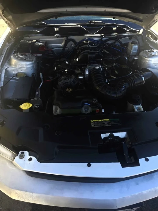 2010 Ford S197 Mustang - Image 13 of 13