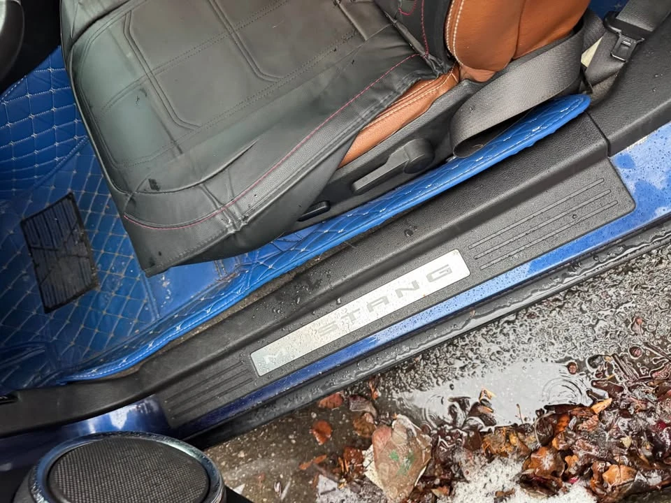 2010 Ford S197 Mustang - Image 13 of 16