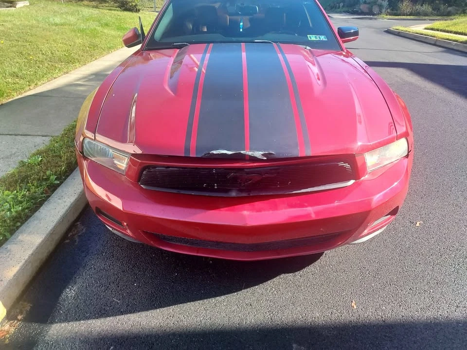 2010 Ford S197 Mustang - Image 2 of 4